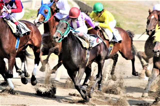 中央・地方競馬の予想ならお任せください