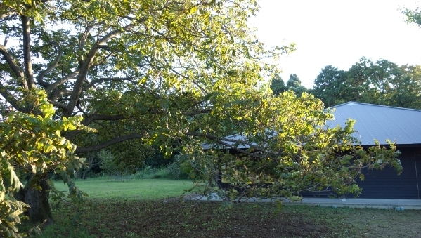 0000502935.jpg