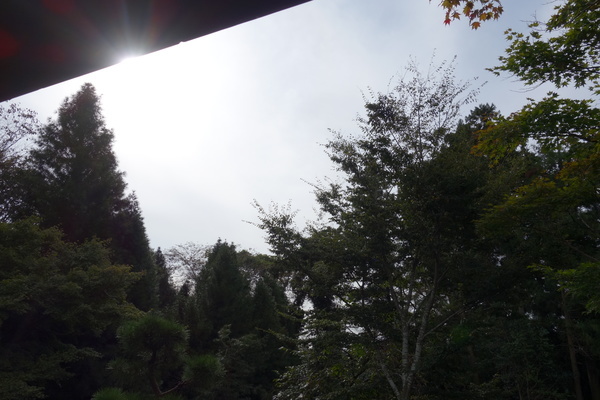 DSC09499_コピー