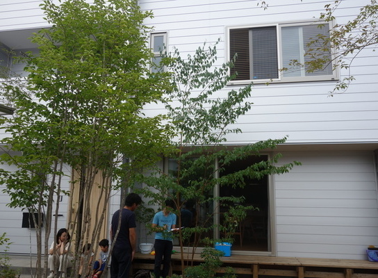 DSC01249_コピー_コピー