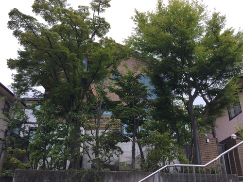 05658041-70B9-4C03-A0AB-122C0CDD37C8_コピー