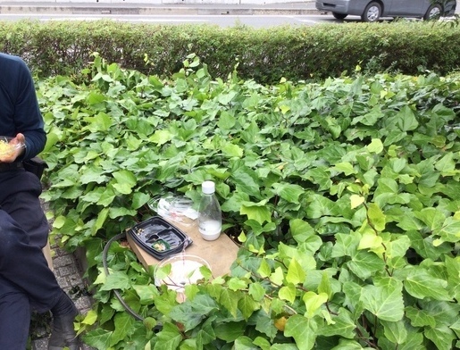 501CF313-89F7-42FF-8AD9-10372D49B604_コピー_コピー