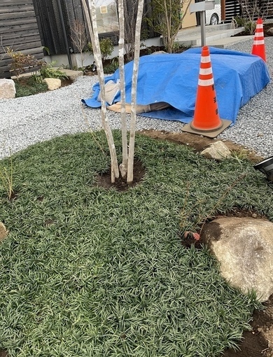 378DF8CC-78C5-44C3-ABB9-54B3084F6110_コピー_コピー_コピー