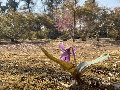 D2FDFE7D-AA84-4426-BCFB-B8BECB6FE063_コピー