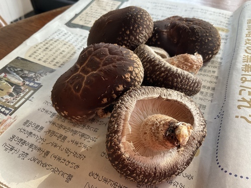 3605FB69-34D5-46BE-9FF3-8CD5C802823D_コピー