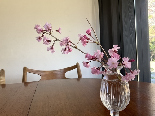 EF843E83-922A-4E6E-9B6A-3965328595C6_コピー