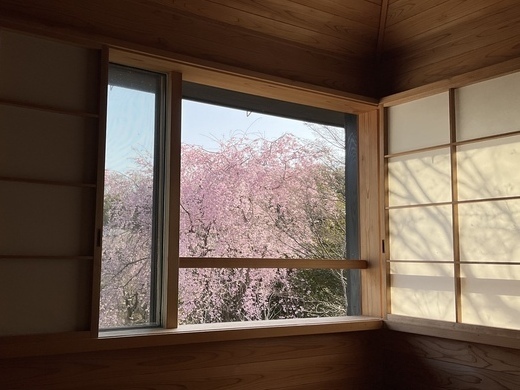 A6252B3C-17F1-445D-B53E-D79D054BBB60_コピー_コピー