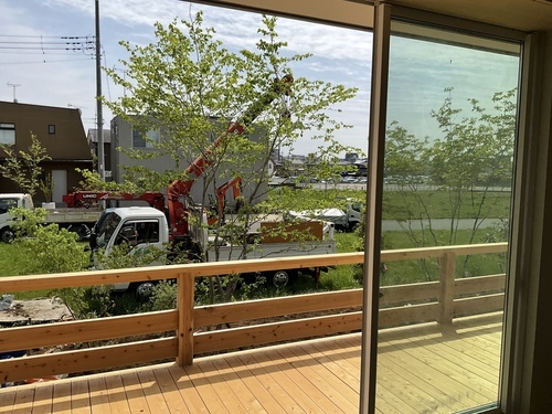 DF1B3054-F339-4129-8937-AE7E3F33E582_コピー