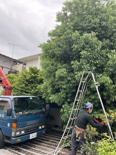 E85D5394-C6DF-4348-B909-E2C7BC7A1167_コピー_コピー