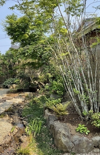 97E7108E-6145-44D4-873F-EE3811377038_コピー_コピー_コピー