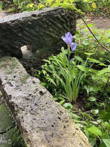 83A989EE-89E2-4C05-AFE5-2579B0E6092E_コピー