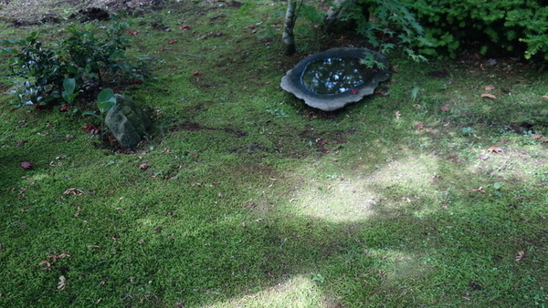 DSC05765_コピー_コピー_コピー