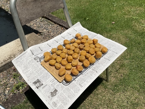 B86E77DE-D30F-4B82-8EBF-15E9F994DC10_コピー