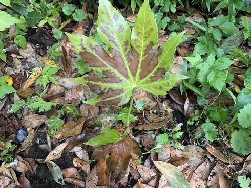 56A3F212-061E-421C-8125-64818B0F9F12_コピー