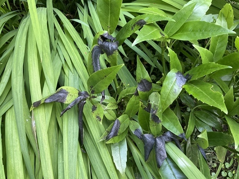 F7686BBA-3752-4CA2-BC06-A9C536C5696B_コピー