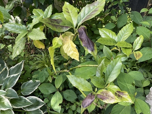 4FB20477-8916-4192-A187-CCEDAF588D5D_コピー