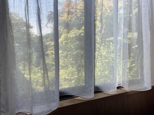 BF4C7106-DD0B-4A8A-BDE6-A95A50D80CCD_コピー