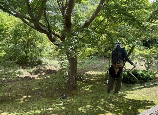 D7388E7A-985C-4973-95D6-C37A7F11C564_コピー_コピー