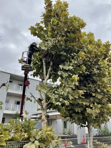 174762ED-238B-4AE9-848C-24DEEB9E8685_コピー