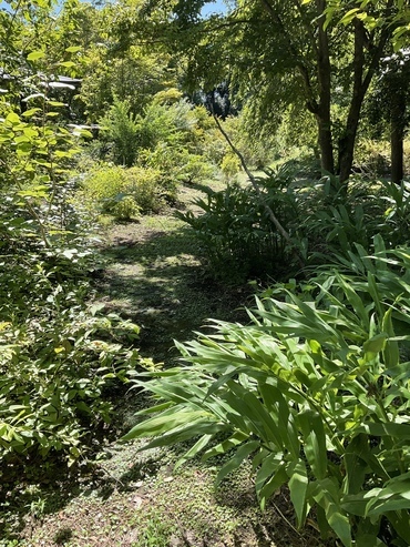 9277EB25-5A3B-4A34-82DA-225B063A08C4_コピー