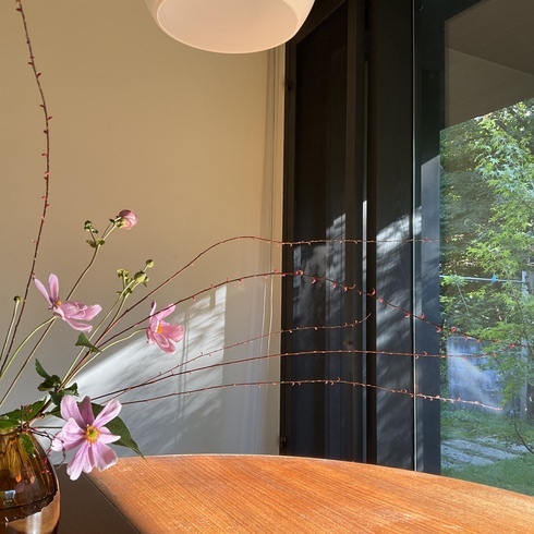 6D91EF81-2F1B-4427-9AE9-05CCBE18C8C4_コピー