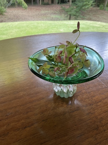 B1161C74-2853-434C-A936-60A604F5BE27_コピー