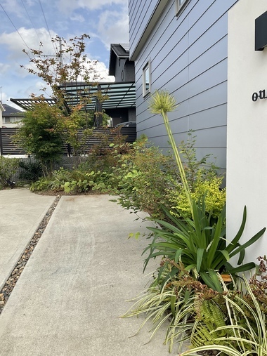 08D161B7-C1EB-46DA-8A06-CDB109FD8F59_コピー