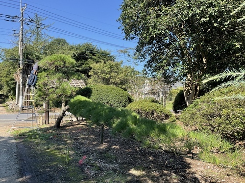 CF3B3518-70A7-4F1E-AE26-C0EF6E356F50_コピー