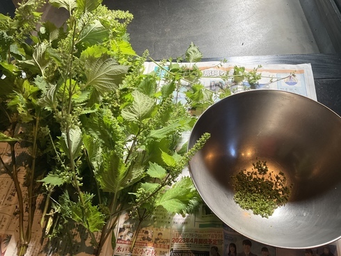 00BF6D7B-1FEF-4272-8390-8025AC5D99E6_コピー