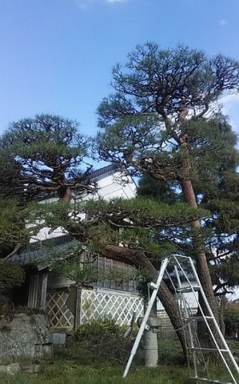 20221118123522 (1)_コピー_コピー_コピー