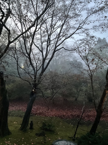 82A3511D-64A8-484E-A087-C30D1896A8EB_コピー