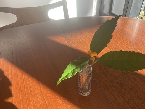 88405213-D881-46A5-BC06-807DB9CAD02F_コピー