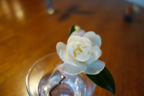 DSC05931_コピー