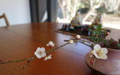 DSC06033_コピー_コピー_コピー