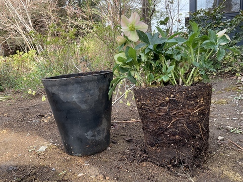 4BF32E12-C626-4392-9494-3A7846E28297_コピー