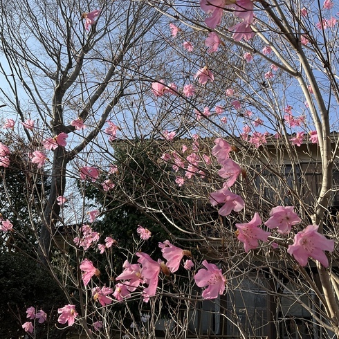 F9967E4F-F647-469B-933B-8A0D688E35D0_コピー