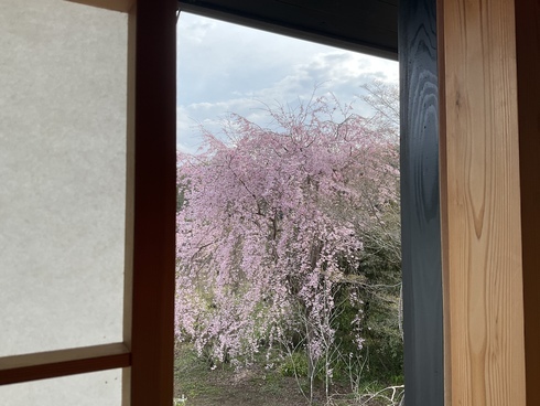 7EA7A8AB-EA5A-4E1C-870E-97D0D65C70EA_コピー