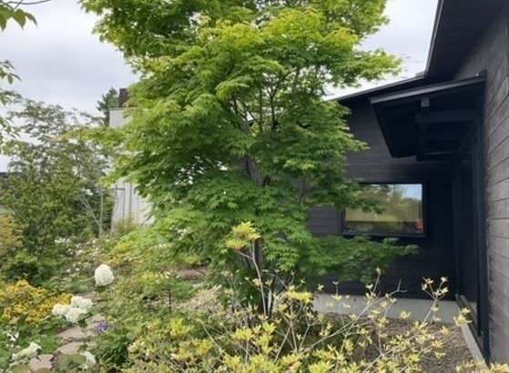 610B37F3-C480-48B8-B7DC-4F73D8A63B84_コピー_コピー_コピー_コピー