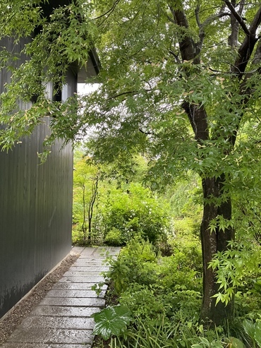 74939D0C-EBAB-487E-88C1-C660850E4F92_コピー