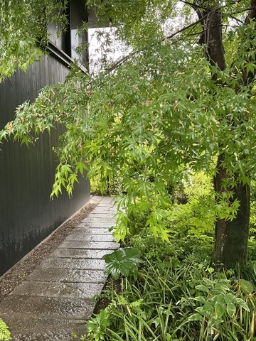 E430E41A-26C9-44D9-A77B-7246F4FF2B20_コピー