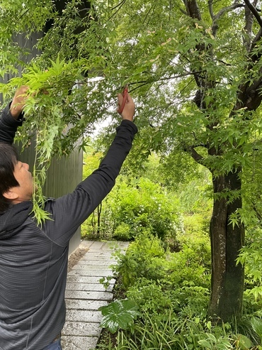 E3EC160F-1B0C-4BE6-BE21-FD1350AF2B69_コピー