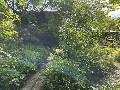 IMG_6043_コピー_コピー