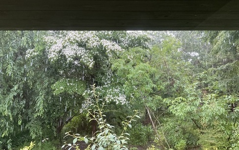 IMG_6170_コピー_コピー_コピー