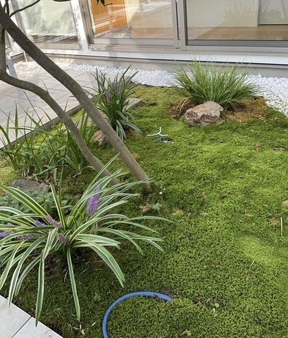 IMG_6910_コピー_コピー_コピー