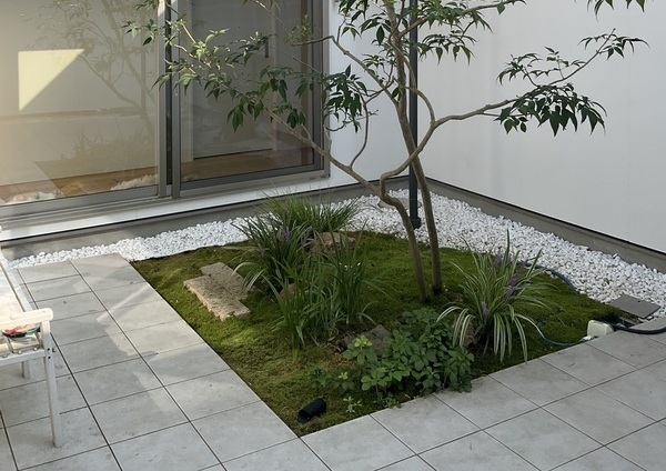 IMG_6911_コピー_コピー