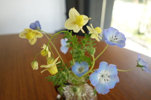 DSC06426_コピー