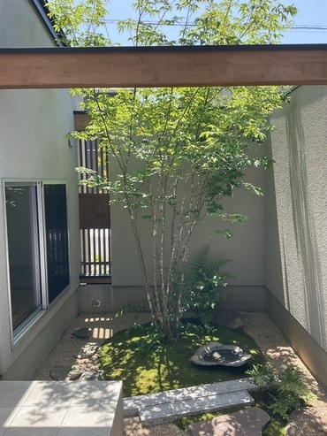 IMG_8736_コピー_コピー