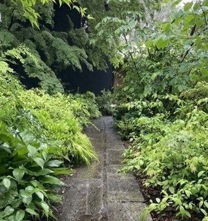 IMG_8746_コピー_コピー_コピー_コピー_コピー