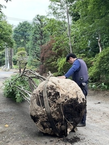 IMG_0536_コピー_コピー_コピー_コピー_コピー