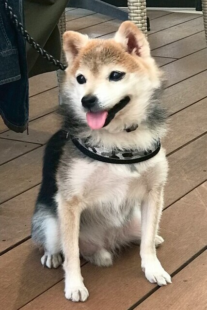 ④